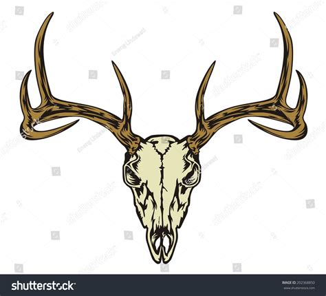 Deer Skull Stock Vector Royalty Free 202368850 Shutterstock