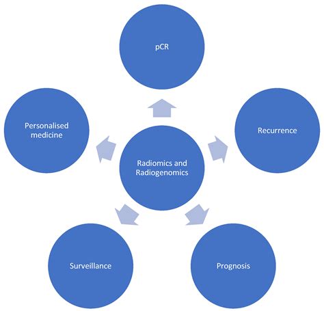 Current Oncology Free Full Text Radiomics And Radiogenomics In