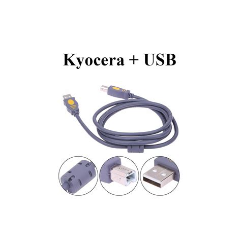 Как сканировать документы с принтера kyocera ecosys на компьютер