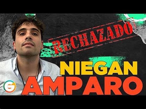 Niegan Amparo A Ovidio Guzm N Por Segunda Vez Cds Youtube