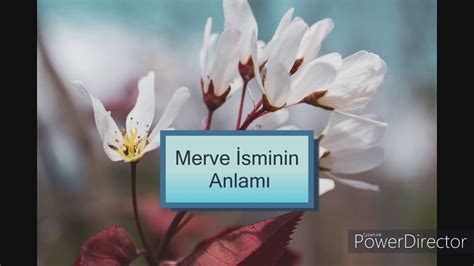 Merve Sminin Anlam Youtube