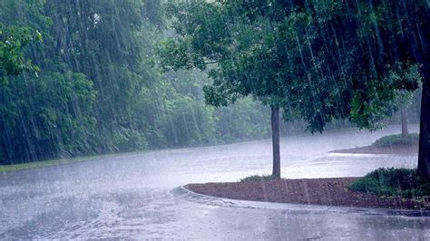 Météo Algérie Pluies orageuses sur de nombreuses wilayas https