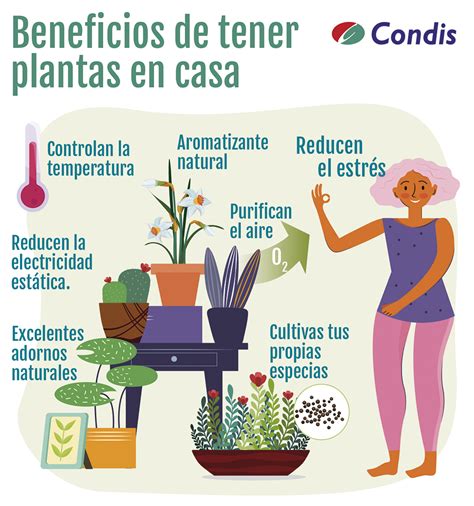 Caso Wardian Objetivo Fat Dico Beneficios De Las Plantas Para El