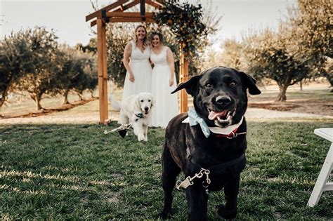 Same Sex Wedding At Pialligo Estate Canberra Wedding Photographer Tracy Lee Photography