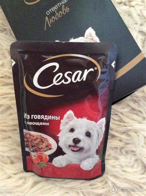 Корм для собак Цезарь (Cesar): состав, цены, отзывы