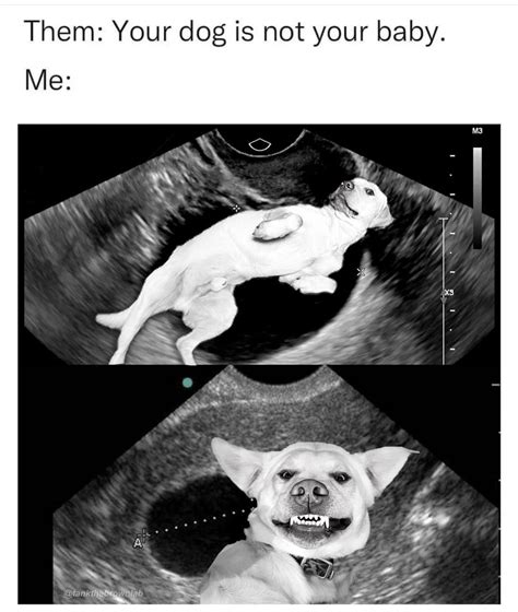 25 Memes That'll Make Your Jaw Drop - Funny