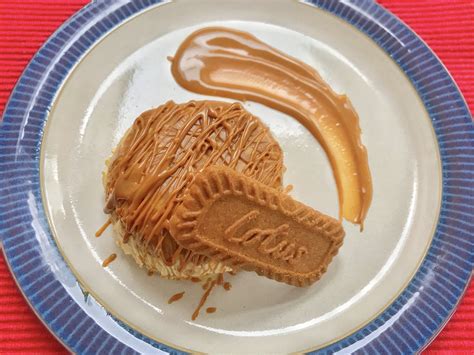 Easy Recipe Biscoff Crispy Ice Cream Cake Hodgepodgedays