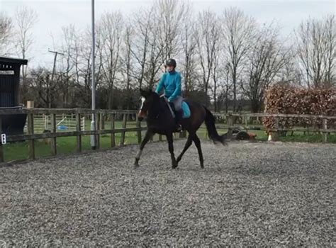 Pivo Pod Silver - 21.03.21 - Adventures in Black and White