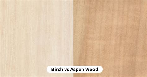 Birch vs Aspen | Which One Is Better? - Timber Blogger