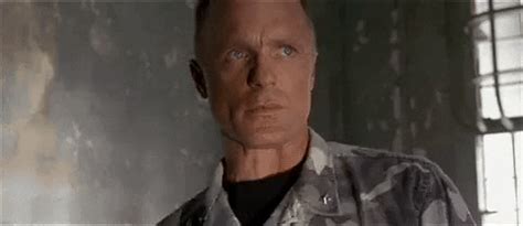 Ed Harris GIF - Find & Share on GIPHY