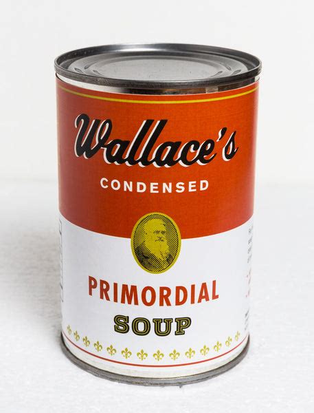 Wallace's Primordial Soup – Time Travel Mart