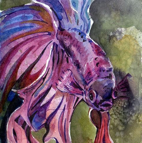 Betta Fish Watercolor at PaintingValley.com | Explore collection of Betta Fish Watercolor