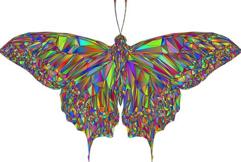 100 Free Rainbow Butterfly And Butterfly Images Pixabay