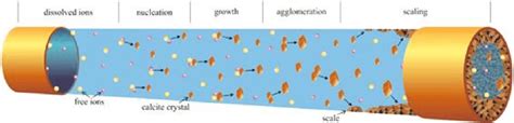 Main Phenomena Involved In Calcium Carbonate Scaling COSMO Et Al