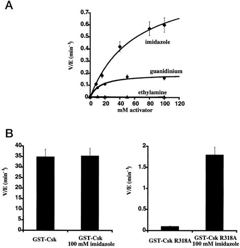 Chemical Rescue Of A Mutant Protein Tyrosine Kinase Journal Of