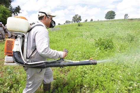 Aprende todo sobre el producto Fitosanitario y mucho más