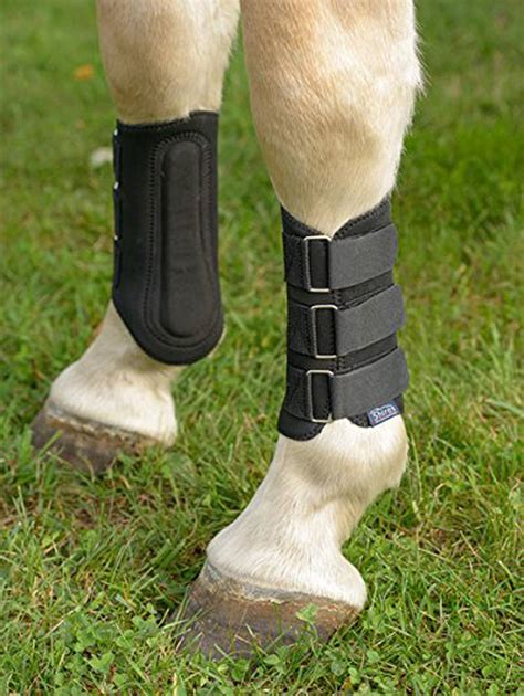 Protective Leg Equipment And Boots For Your Horse