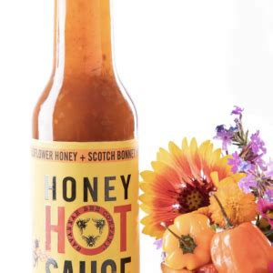 Hot Honey Sauce Only Prettier Design
