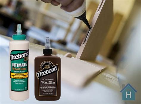 The 5 Best Wood Glue For Furniture Repair & Wood Bonding