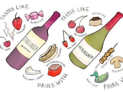 Updated Wine Flavor Wheel with 100+ Flavors | Wine Folly