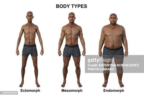 Ectomorph Bodybuilding Transformation