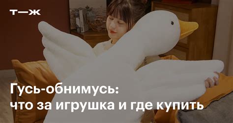Гусь-обнимусь: откуда он появился и в чем причина популярности мягкой ...