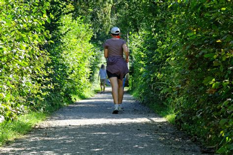 Free Images : nature, running, run, summer, walk, park, jogging