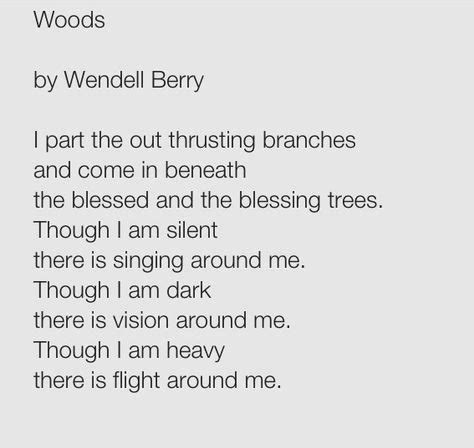 Life After All : Poems for Resisters: Wendell Berry takes us to Safe Places