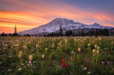 Mount Rainier Summit Wallpaper