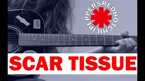 Scar Tissue Red Hot Chili Peppers Cover YouTube