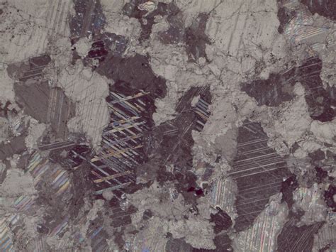 Calcite Thin Section