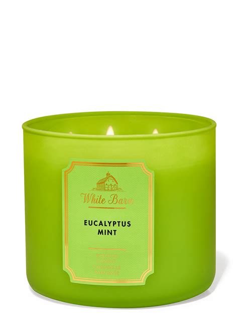 Eucalyptus Mint Wick Candle Bath And Body Works