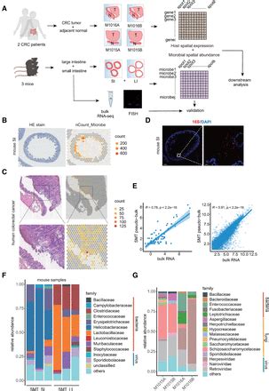 Simultaneous Profiling Of Host Expression And Microbial Abundance By