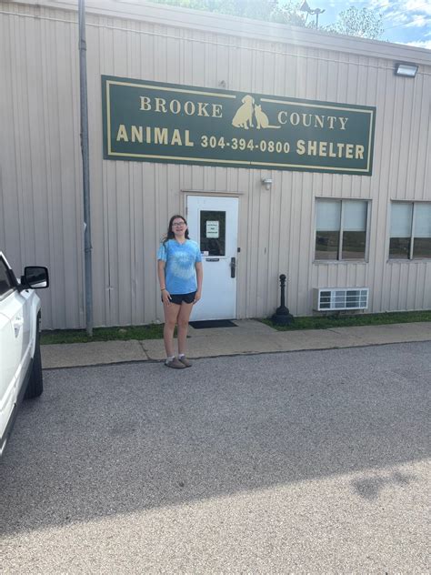 brooke county animal shelter wv