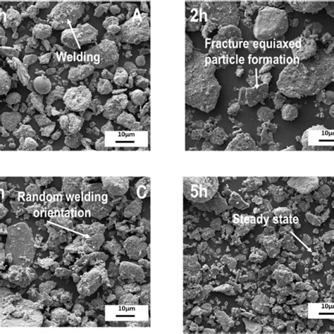 TEM Images Of The Typical Dc Hot Pressed Nanostructured Dense Bulk