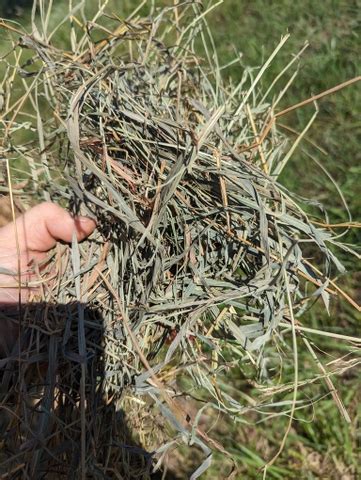 Brome And Prairie Hay Mix Bales Nex Tech Classifieds