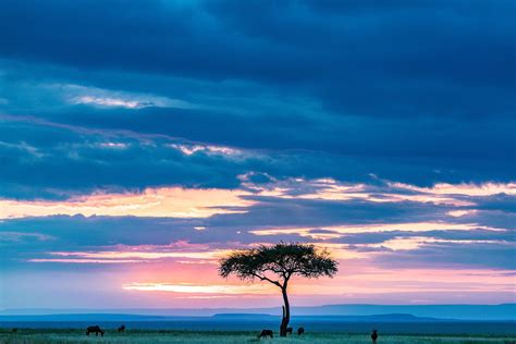 Voyager En Afrique Ce Qu Il Faut Savoir Amami Viaggi