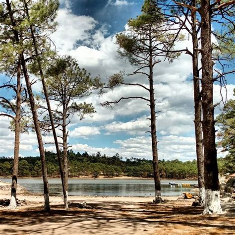 Tips Para Subir Al Chepe Barrancas Del Cobre Mariel De Viaje