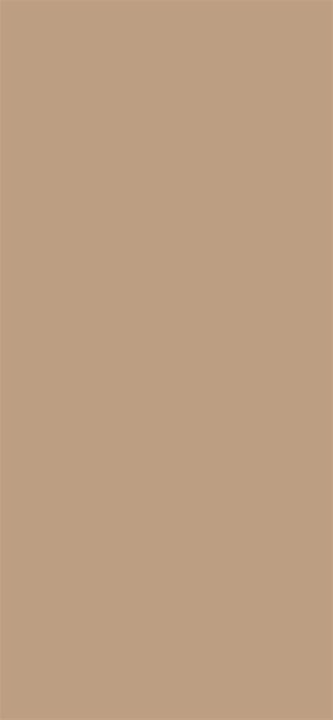 Nude Brown Color BC9E82 The Official Register Of Color Names