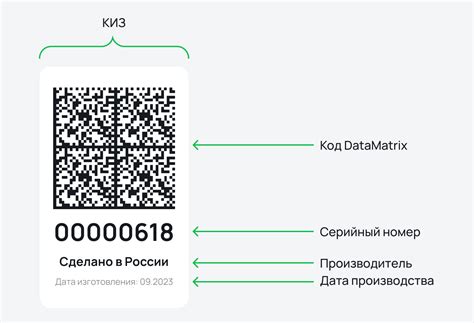 Что такое КИЗ товаров на Вайлдберриз: как и зачем маркировать
