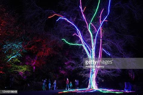 Brooklyn Botanic Garden holidays light show in New York on November ...