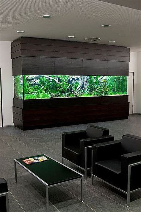 Modern-wooden-aquarium-house