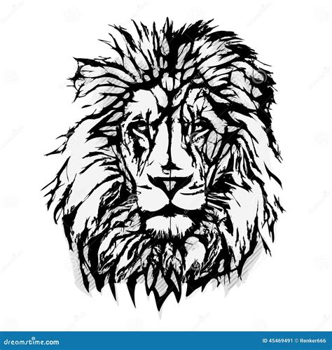 Lion Graphics Pictures