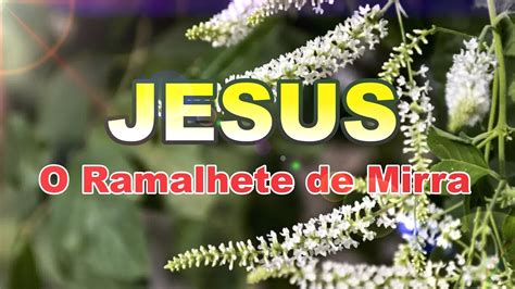 Jesus O Ramalhete De Mirra Youtube