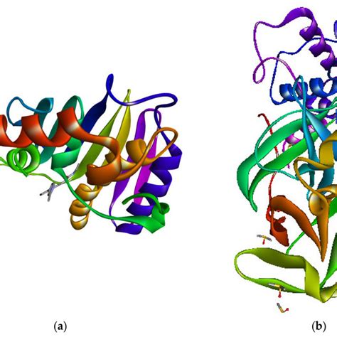 Binding Interactions Of Mt With Amino Acid Residues Of E Coli Dna