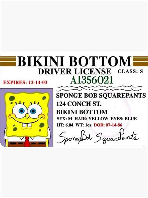 Spongebob Bikini Bottom Driver S License Magnet For Sale By Aaronvalentinus Redbubble