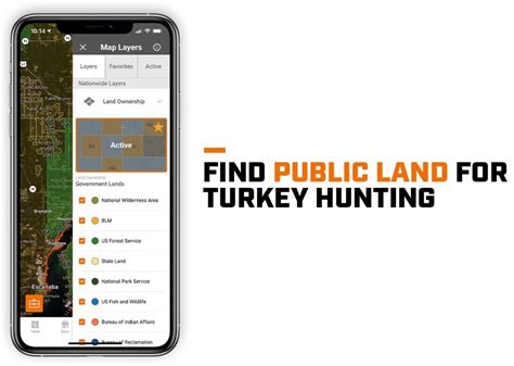 Strategies For Hunting Turkey On Public Land Huntwise