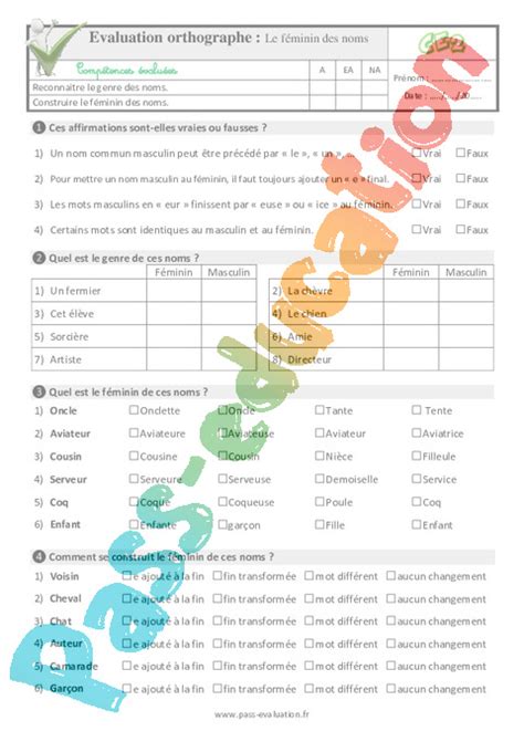 Le F Minin Des Noms Au Ce Evaluation Qcm Quiz Pdf Imprimer