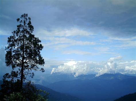 Darjeeling Tourism | Places to Visit in Darjeeling | | Darjeeling India