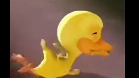 Stupid Duck Crying Crying Duck Meme Youtube